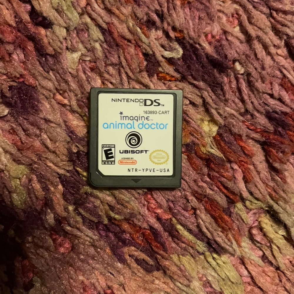 Dsi game